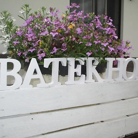 Batek Vila Zator